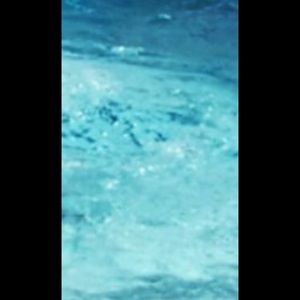 Meet your Posher, Sidney